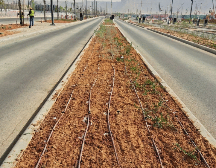 Gemini_Generated_Image_pnfnqvpnfnqvpnfn